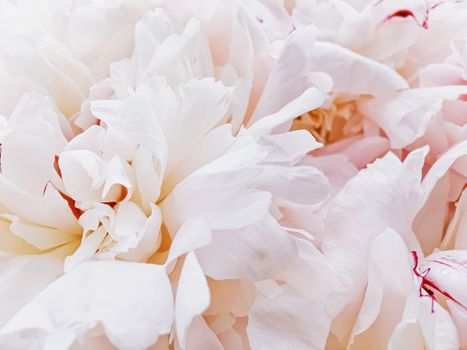 Bouquet of peony flowers on luxury marble background, wedding flatlay and event branding design