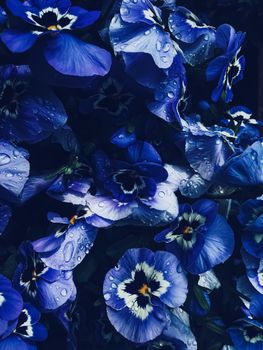 Blue flower on dark background, floral and nature concept