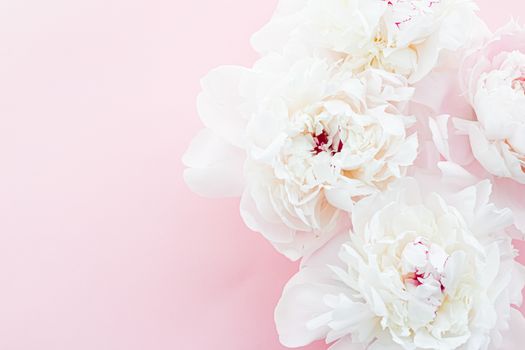 White peony flowers as floral art on pink background, wedding flatlay and luxury branding design