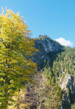 Beautiful nature of European Alps, landscape view of alpine mountains, lake and village on a sunny day, travel and destination scenery