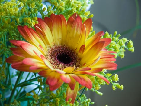 bouquet flower