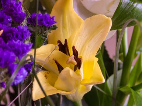 bouquet flower