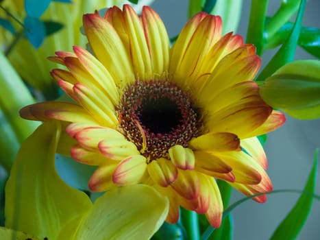 bouquet flower