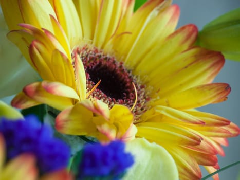 bouquet flower