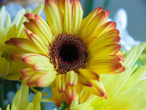 bouquet flower