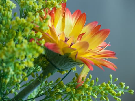bouquet flower