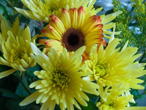 bouquet flower