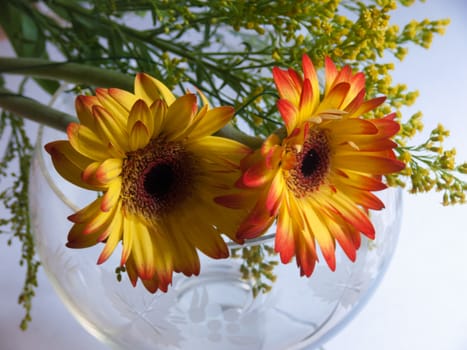 bouquet flower