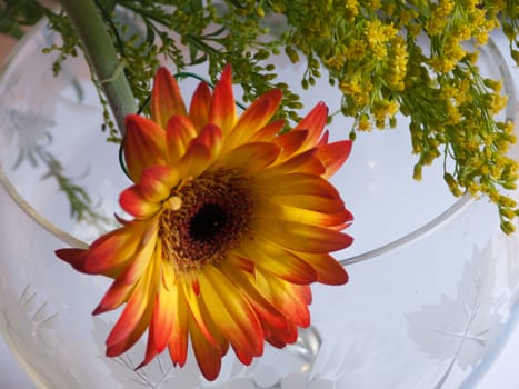 bouquet flower