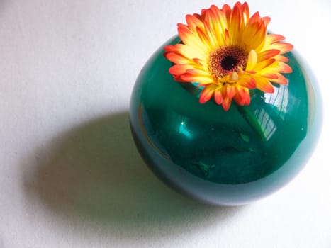 bouquet flower