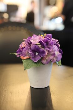 flower in jar