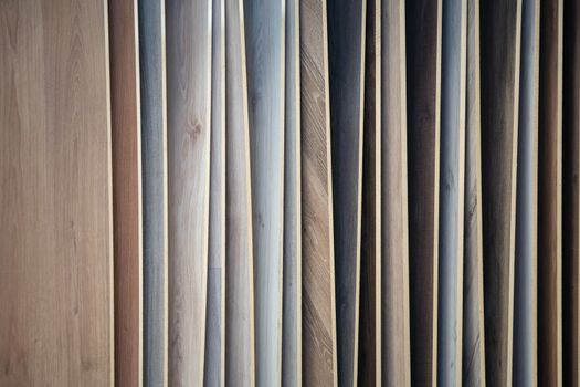 samples of wooden flooring in shop.