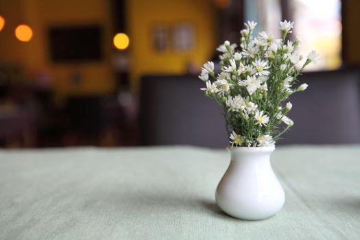 flower in jar