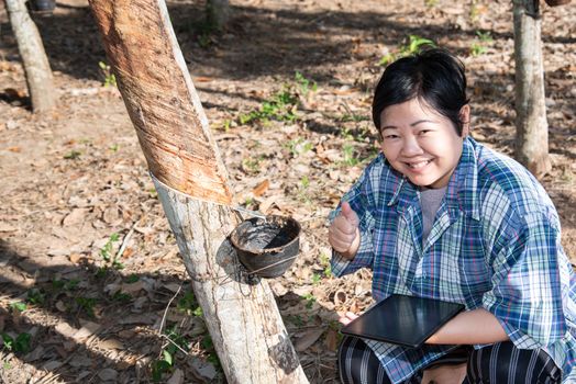 Asian woman farmer agriculturist happy at a rubber tree plantation with Rubber tree in row natural latex is a agriculture harvesting natural rubber in white milk color for industry in Thailand