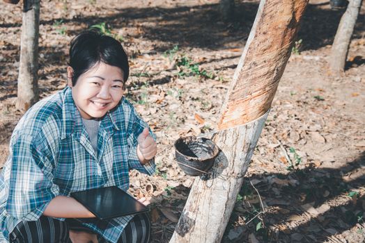 Asian woman farmer agriculturist happy at a rubber tree plantation with Rubber tree in row natural latex is a agriculture harvesting natural rubber in white milk color for industry in Thailand