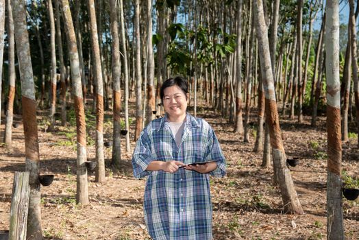 Asian woman smart farmer agriculturist happy at a rubber tree plantation with Rubber tree in row natural latex is a agriculture harvesting natural rubber in white milk color for industry in Thailand