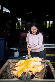 Asian woman chef cooking Barbecued Suckling Pig by roasting pork on charcoal for sale at Thai street food market or restaurant in Thailand