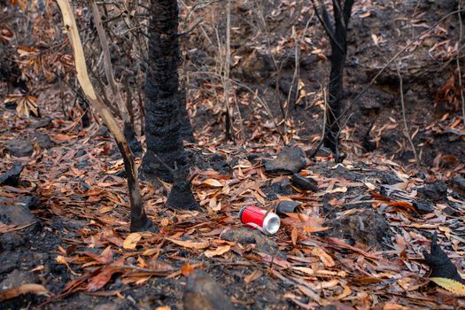 Straight after bush fires burn all the undergrowth, people throw fresh rubbish into the landscape.