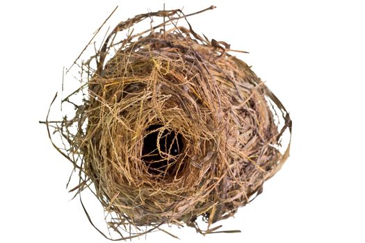 Real and Natural bird's nest on isolated white background