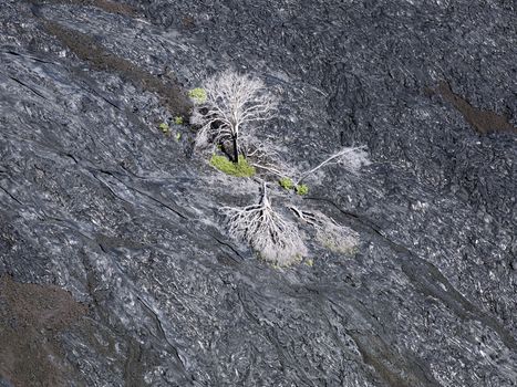 Lava Rock Formation In Hawaii Volcano National Park