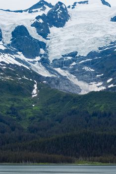 Prince William Sound, College Fjord, Alaska