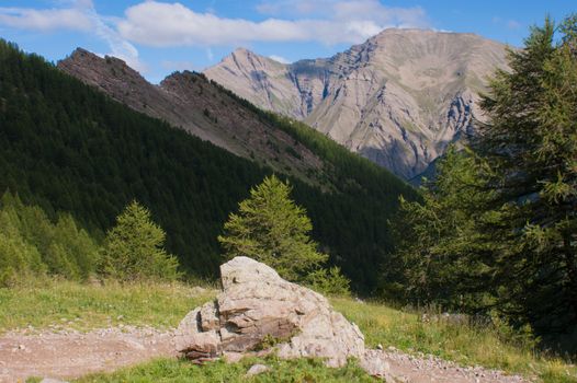vallon of eyguettes,crevoux,hautes alpes,france