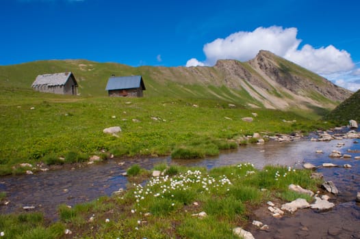 vallon of eyguettes,crevoux,hautes alpes,france