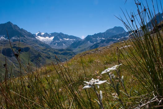 dam of mauvoisin,valais,swiss
