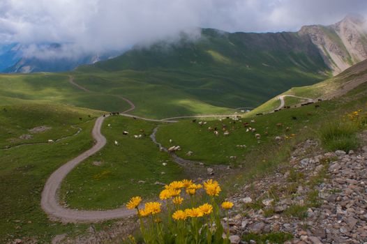 vallon of eyguettes,crevoux,hautes alpes,france