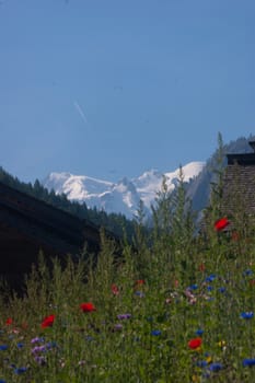 vallorcine,haute savoie,france