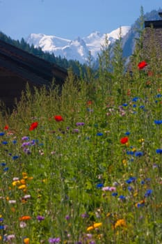 vallorcine,haute savoie,france