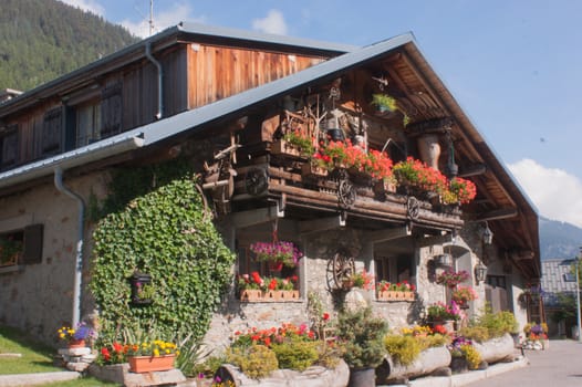 vallorcine,haute savoie,france