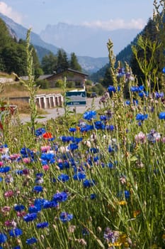 vallorcine,haute savoie,france