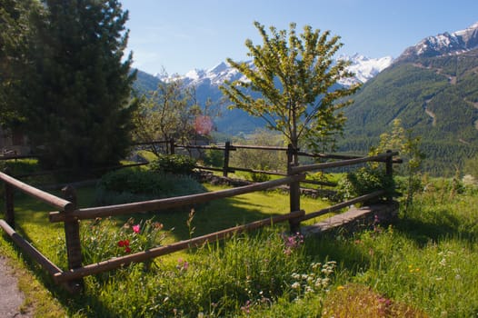 gimillan,cogne,val d'aosta,italy