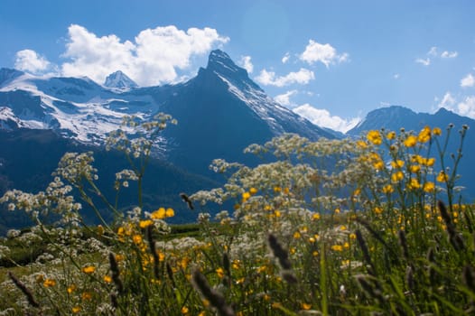 gimillan,cogne,val of aosta,italy