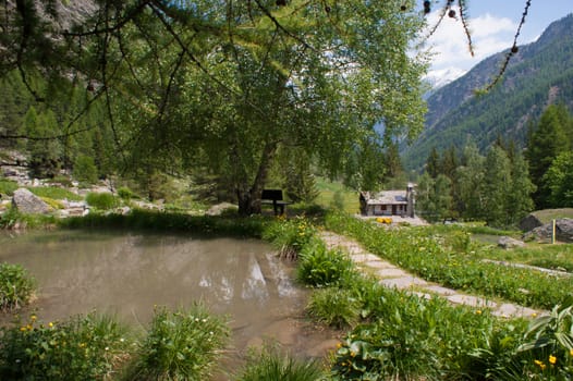 Botanical Garden,valnontey,cogne,val of aosta,italy