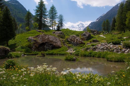 Botanical Garden,valnontey,cogne,val of aosta,italy