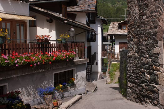 cogne,val of aosta,italy