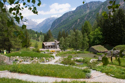 Botanical Garden,valnontey,cogne,val of aosta,italy