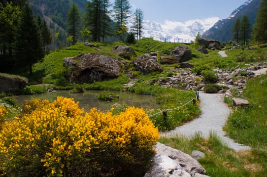 Botanical Garden,valnontey,cogne,val of aosta,italy