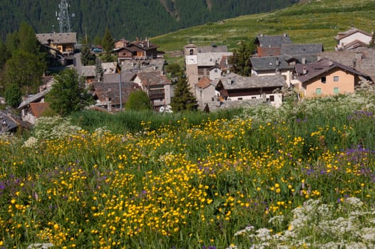 gimillan,cogne,val of aosta,italy