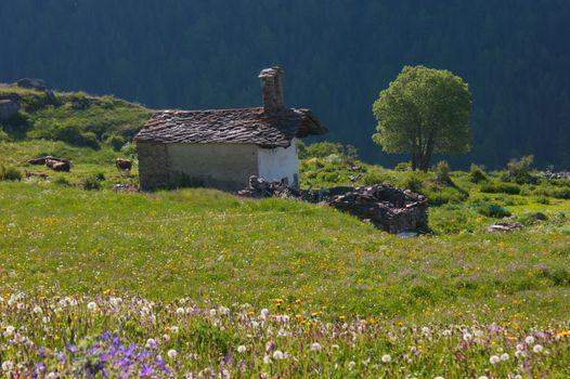 tarabouc,cogne,val of aosta,italy