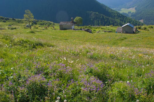 tarabouc,cogne,val of aosta,italy