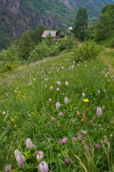 syvenoire,cogne,val of aosta,italy