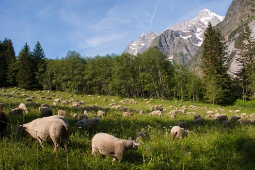 val ferret,valais,swiss