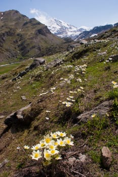 grauson,cogne,val of aosta,italy