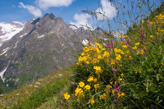 val ferret,valais,swiss