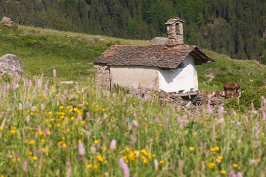 tarabouc,cogne,val of aosta,italy