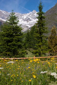 val ferret,valais,swiss