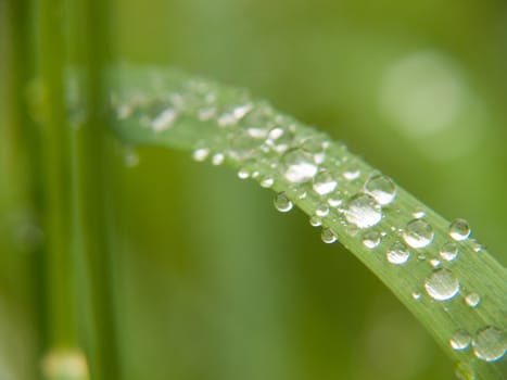 drop of water,haute loire ,france